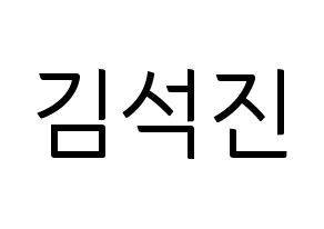 KPOP BTS(방탄소년단、防弾少年団) 진 (ジン) コンサート用　応援ボード・うちわ　韓国語/ハングル文字型紙 通常