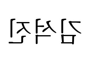 KPOP BTS(방탄소년단、防弾少年団) 진 (ジン) 応援ボード・うちわ　韓国語/ハングル文字型紙 左右反転