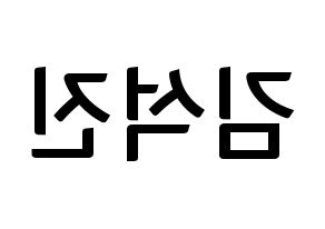 KPOP BTS(방탄소년단、防弾少年団) 진 (ジン) k-pop アイドル名前 ファンサボード 型紙 左右反転