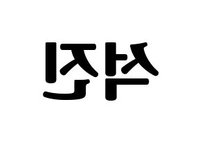 KPOP BTS(방탄소년단、防弾少年団) 진 (ジン) コンサート用　応援ボード・うちわ　韓国語/ハングル文字型紙 左右反転