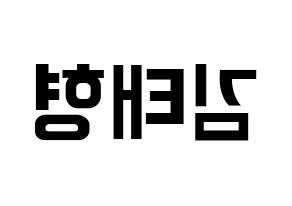 KPOP BTS(방탄소년단、防弾少年団) 뷔 (ブイ) k-pop アイドル名前 ファンサボード 型紙 左右反転