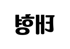 KPOP BTS(방탄소년단、防弾少年団) 뷔 (ブイ) コンサート用　応援ボード・うちわ　韓国語/ハングル文字型紙 左右反転