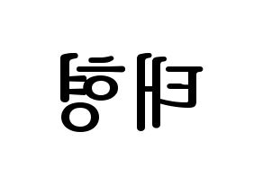 KPOP BTS(방탄소년단、防弾少年団) 뷔 (ブイ) プリント用応援ボード型紙、うちわ型紙　韓国語/ハングル文字型紙 左右反転