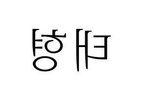 KPOP BTS(방탄소년단、防弾少年団) 뷔 (ブイ) 応援ボード・うちわ　韓国語/ハングル文字型紙 左右反転