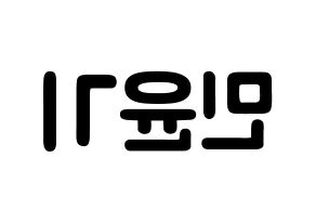 KPOP BTS(방탄소년단、防弾少年団) 슈가 (ミン・ユンギ, シュガ) 応援ボード、うちわ無料型紙、応援グッズ 左右反転