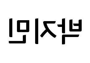 KPOP BTS(방탄소년단、防弾少年団) 지민 (ジミン) k-pop アイドル名前 ファンサボード 型紙 左右反転