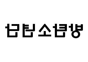 KPOP歌手 BTS(방탄소년단、防弾少年団) 応援ボード型紙、うちわ型紙　韓国語/ハングル文字 左右反転
