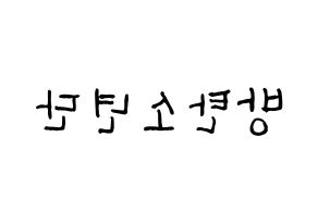 KPOP BTS(방탄소년단、防弾少年団) k-pop ファンサ ボード 型紙 左右反転