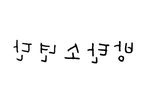 KPOP BTS(방탄소년단、防弾少年団) k-pop 応援ボード メッセージ 型紙 左右反転