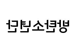 KPOP BTS(방탄소년단、防弾少年団) k-pop ファンサ ボード 型紙 左右反転