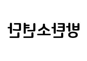 KPOP BTS(방탄소년단、防弾少年団) k-pop ボード ハングル表記 言葉 左右反転