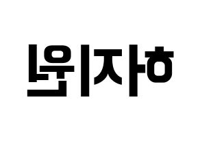 KPOP Cherry Bullet(체리블렛、チェリーバレット) 지원 (ジウォン) k-pop アイドル名前 ファンサボード 型紙 左右反転