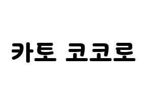 KPOP Cherry Bullet(체리블렛、チェリーバレット) 코코로 (ココロ) 応援ボード・うちわ　韓国語/ハングル文字型紙 通常