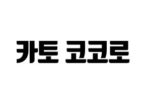 KPOP Cherry Bullet(체리블렛、チェリーバレット) 코코로 (ココロ) コンサート用　応援ボード・うちわ　韓国語/ハングル文字型紙 通常