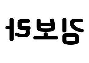 KPOP Cherry Bullet(체리블렛、チェリーバレット) 보라 (ボラ) 応援ボード・うちわ　韓国語/ハングル文字型紙 左右反転