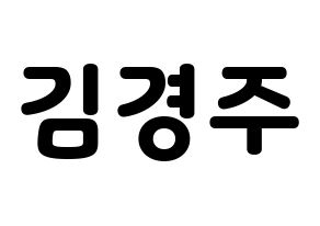 KPOP Cherry Bullet(체리블렛、チェリーバレット) 미래 (ミレ) 応援ボード・うちわ　韓国語/ハングル文字型紙 通常
