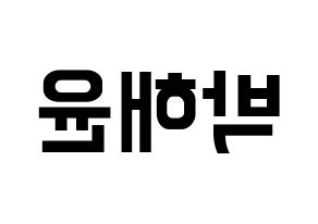 KPOP Cherry Bullet(체리블렛、チェリーバレット) 해윤 (ヘユン) k-pop アイドル名前 ファンサボード 型紙 左右反転