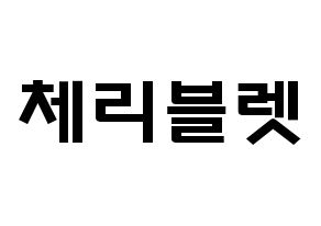 KPOP歌手 Cherry Bullet(체리블렛、チェリーバレット) 応援ボード型紙、うちわ型紙　韓国語/ハングル文字 通常