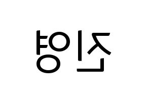KPOP CIX(씨아이엑스、シーアイエックス) 배진영 (ぺ・ジニョン) コンサート用　応援ボード・うちわ　韓国語/ハングル文字型紙 左右反転