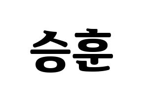 KPOP CIX(씨아이엑스、シーアイエックス) 김승훈 (スンフン) コンサート用　応援ボード・うちわ　韓国語/ハングル文字型紙 通常