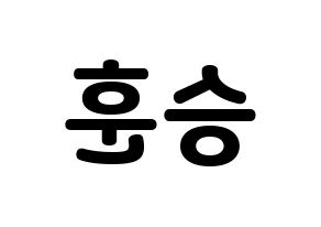 KPOP CIX(씨아이엑스、シーアイエックス) 김승훈 (スンフン) 応援ボード・うちわ　韓国語/ハングル文字型紙 左右反転