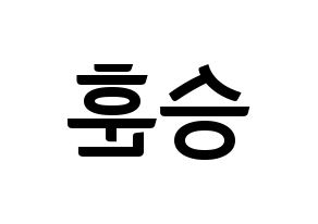 KPOP CIX(씨아이엑스、シーアイエックス) 김승훈 (スンフン) k-pop アイドル名前 ファンサボード 型紙 左右反転