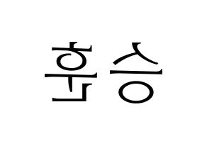 KPOP CIX(씨아이엑스、シーアイエックス) 김승훈 (スンフン) 応援ボード・うちわ　韓国語/ハングル文字型紙 左右反転