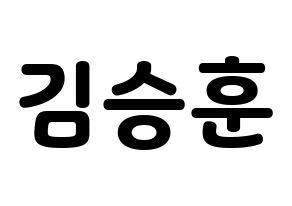 KPOP CIX(씨아이엑스、シーアイエックス) 김승훈 (スンフン) 応援ボード・うちわ　韓国語/ハングル文字型紙 通常
