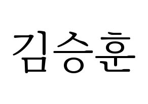 KPOP CIX(씨아이엑스、シーアイエックス) 김승훈 (スンフン) 応援ボード・うちわ　韓国語/ハングル文字型紙 通常