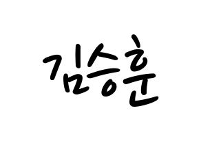 KPOP CIX(씨아이엑스、シーアイエックス) 김승훈 (スンフン) 応援ボード ハングル 型紙  通常