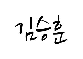 KPOP CIX(씨아이엑스、シーアイエックス) 김승훈 (スンフン) k-pop 応援ボード メッセージ 型紙 通常