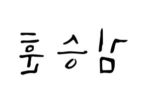 KPOP CIX(씨아이엑스、シーアイエックス) 김승훈 (スンフン) 応援ボード ハングル 型紙  左右反転