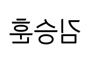 KPOP CIX(씨아이엑스、シーアイエックス) 김승훈 (スンフン) コンサート用　応援ボード・うちわ　韓国語/ハングル文字型紙 左右反転