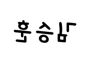 KPOP CIX(씨아이엑스、シーアイエックス) 김승훈 (スンフン) 名前 応援ボード 作り方 左右反転