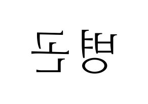 KPOP CIX(씨아이엑스、シーアイエックス) BX (BX) 応援ボード・うちわ　韓国語/ハングル文字型紙 左右反転