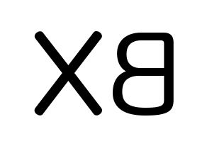 KPOP CIX(씨아이엑스、シーアイエックス) BX (イ・ビョンゴン, BX) 無料サイン会用、イベント会用応援ボード型紙 左右反転
