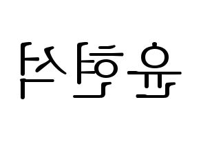 KPOP CIX(씨아이엑스、シーアイエックス) 현석 (ヒョンソク) 応援ボード・うちわ　韓国語/ハングル文字型紙 左右反転