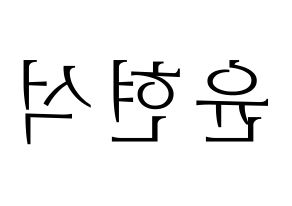 KPOP CIX(씨아이엑스、シーアイエックス) 현석 (ヒョンソク) 応援ボード・うちわ　韓国語/ハングル文字型紙 左右反転