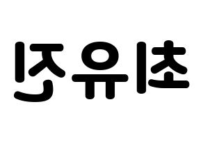 KPOP CLC(씨엘씨、シエルシ) 최유진 (チェ・ユジン) 応援ボード・うちわ　韓国語/ハングル文字型紙 左右反転