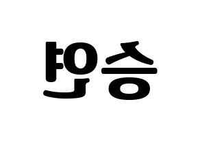 KPOP CLC(씨엘씨、シエルシ) 장승연 (チャン・スンヨン) コンサート用　応援ボード・うちわ　韓国語/ハングル文字型紙 左右反転