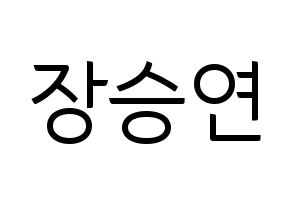 KPOP CLC(씨엘씨、シエルシ) 장승연 (チャン・スンヨン) コンサート用　応援ボード・うちわ　韓国語/ハングル文字型紙 通常