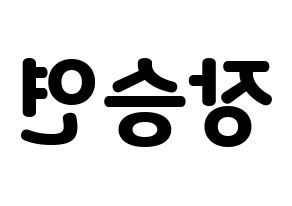 KPOP CLC(씨엘씨、シエルシ) 장승연 (チャン・スンヨン) 応援ボード・うちわ　韓国語/ハングル文字型紙 左右反転