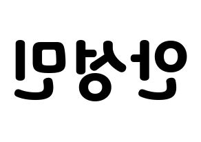 KPOP CRAVITY(크래비티、クレビティ) 성민 (ソンミン) 応援ボード・うちわ　韓国語/ハングル文字型紙 左右反転