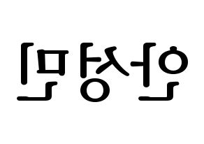 KPOP CRAVITY(크래비티、クレビティ) 성민 (ソンミン) プリント用応援ボード型紙、うちわ型紙　韓国語/ハングル文字型紙 左右反転