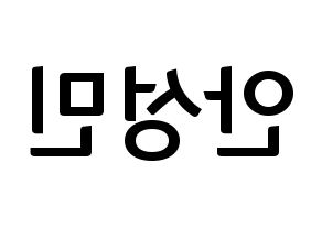 KPOP CRAVITY(크래비티、クレビティ) 성민 (ソンミン) k-pop アイドル名前 ファンサボード 型紙 左右反転
