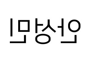 KPOP CRAVITY(크래비티、クレビティ) 성민 (ソンミン) プリント用応援ボード型紙、うちわ型紙　韓国語/ハングル文字型紙 左右反転