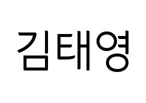 KPOP CRAVITY(크래비티、クレビティ) 태영 (テヨン) コンサート用　応援ボード・うちわ　韓国語/ハングル文字型紙 通常