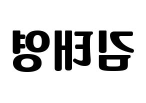 KPOP CRAVITY(크래비티、クレビティ) 태영 (テヨン) コンサート用　応援ボード・うちわ　韓国語/ハングル文字型紙 左右反転
