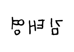 KPOP CRAVITY(크래비티、クレビティ) 태영 (テヨン) k-pop アイドル名前 ファンサボード 型紙 左右反転