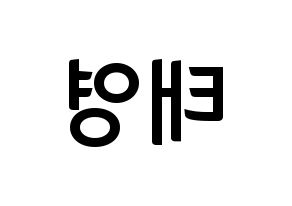 KPOP CRAVITY(크래비티、クレビティ) 태영 (テヨン) k-pop アイドル名前 ファンサボード 型紙 左右反転